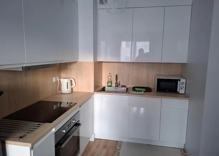 公寓 Bagry Rooms3 Lovekrakow 克拉科夫