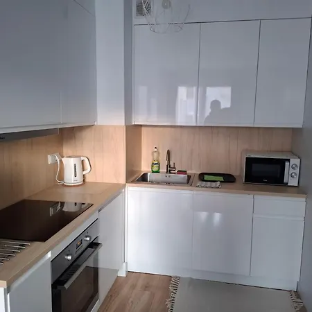 公寓 Bagry Rooms3 Lovekrakow 克拉科夫