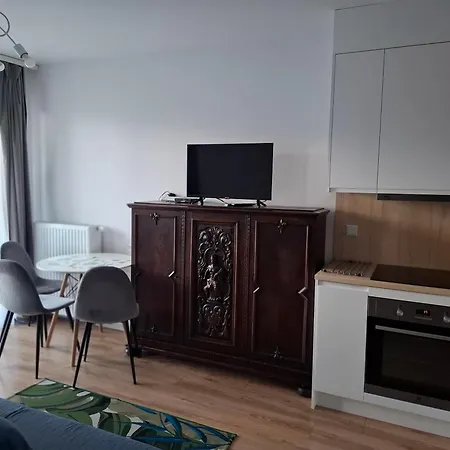 公寓 Bagry Rooms3 Lovekrakow 克拉科夫